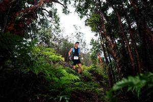 BIB: 
                            <button type="button" onclick="openModal(26201127)" class="btn btn-primary btn-sm float-right btn-popup" data-toggle="modal" data-target=".modal-high-quality">
                        <i class="fas fa-shopping-cart"></i> Add to Cart
                    </button>
                                            <button type="button" onclick="isThisMe(26201127, true)" class="btn btn-success btn-sm float-right btn-popup btn-isme hidden" data-toggle="tooltip" data-placement="bottom" title="นี่คือรูปของคุณใช่ไหม คลิกที่นี่เพื่อเอาเข้าอัลบั้ม">
                        <i class="fas fa-plus"></i> Add to album
                    </button>
                    <button type="button" onclick="isThisMe(26201127, false)" class="btn btn-warning btn-sm float-right btn-popup btn-isnotme hidden">
                        <i class="fas fa-ban"></i> Remove from album
                    </button>